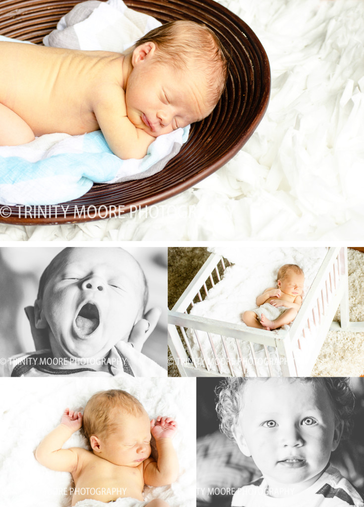 az newborn photographer