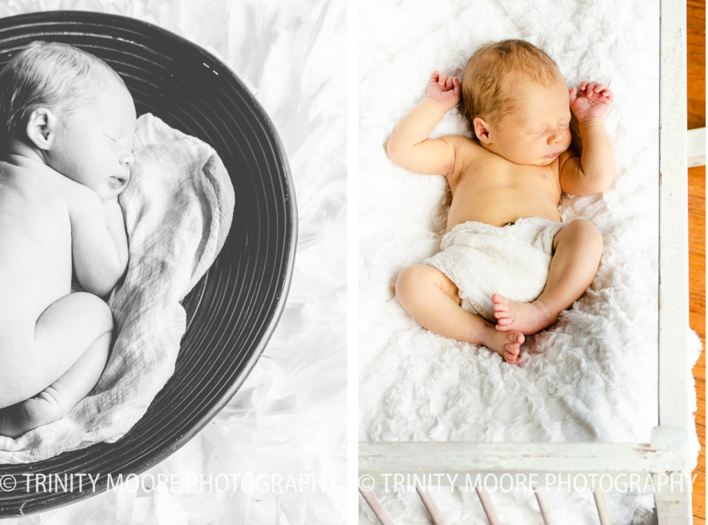 az newborn photographer