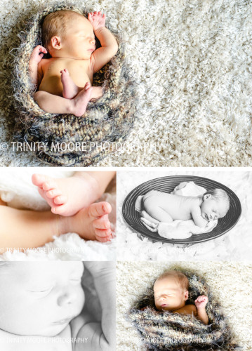 az newborn photographer